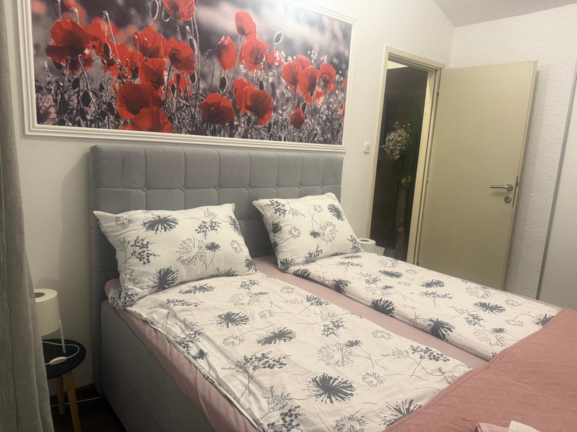 Apartmani Milokanovic Фунтана Экстерьер фото